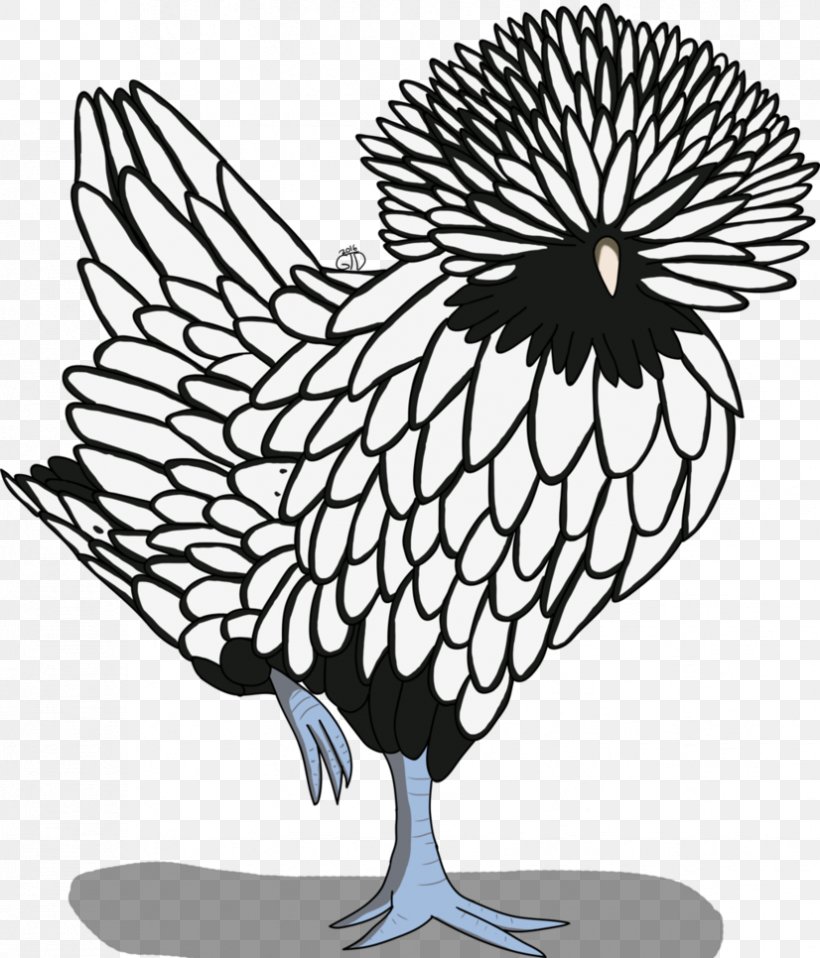 Polish Chicken Drawing Line Art Clip Art, PNG, 826x966px, Polish Chicken, Art, Artwork, Beak, Bird Download Free