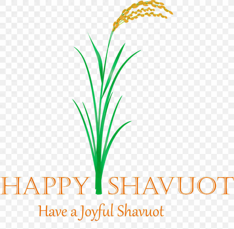 Happy Shavuot Shavuot Shovuos, PNG, 3000x2938px, Happy Shavuot, Flower, Grass, Grass Family, Leaf Download Free