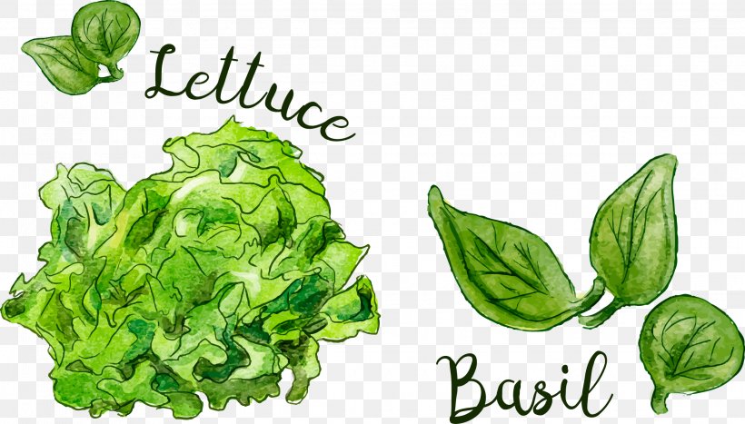 Leaf Food Spring Greens, PNG, 2291x1307px, Leaf, Basil, Cruciferous Vegetables, Food, Leaf Vegetable Download Free