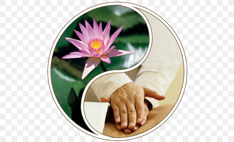 Massage Therapy Alternative Health Services National Holistic Institute Spa, PNG, 500x500px, Massage, Alternative Health Services, Alternative Medicine, Champissage, Chiropractic Download Free
