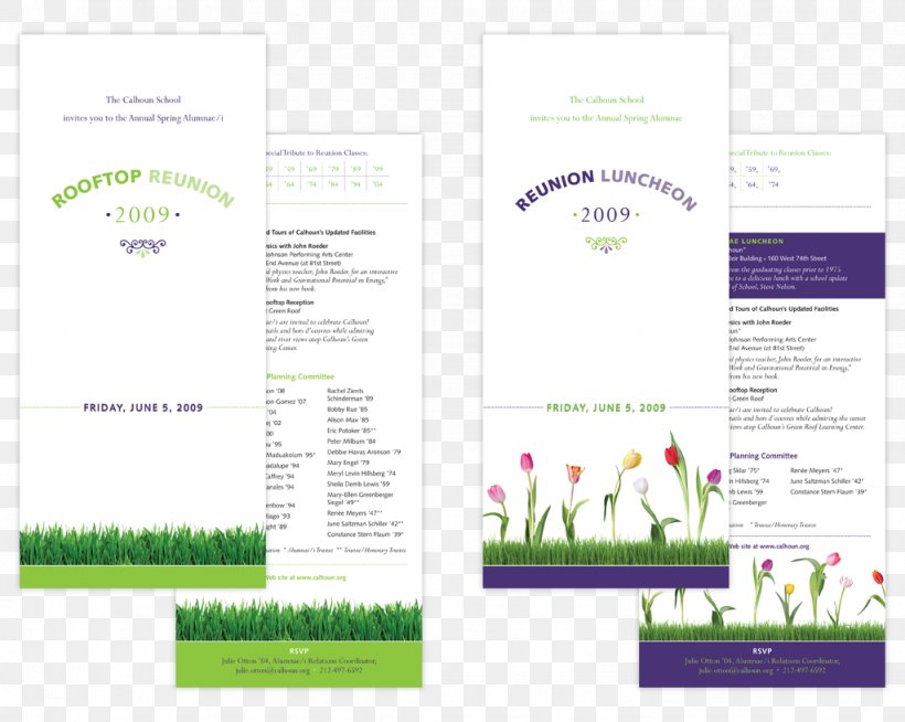Advertising Brand Brochure, PNG, 1024x817px, Advertising, Brand, Brochure, Grass, Text Download Free