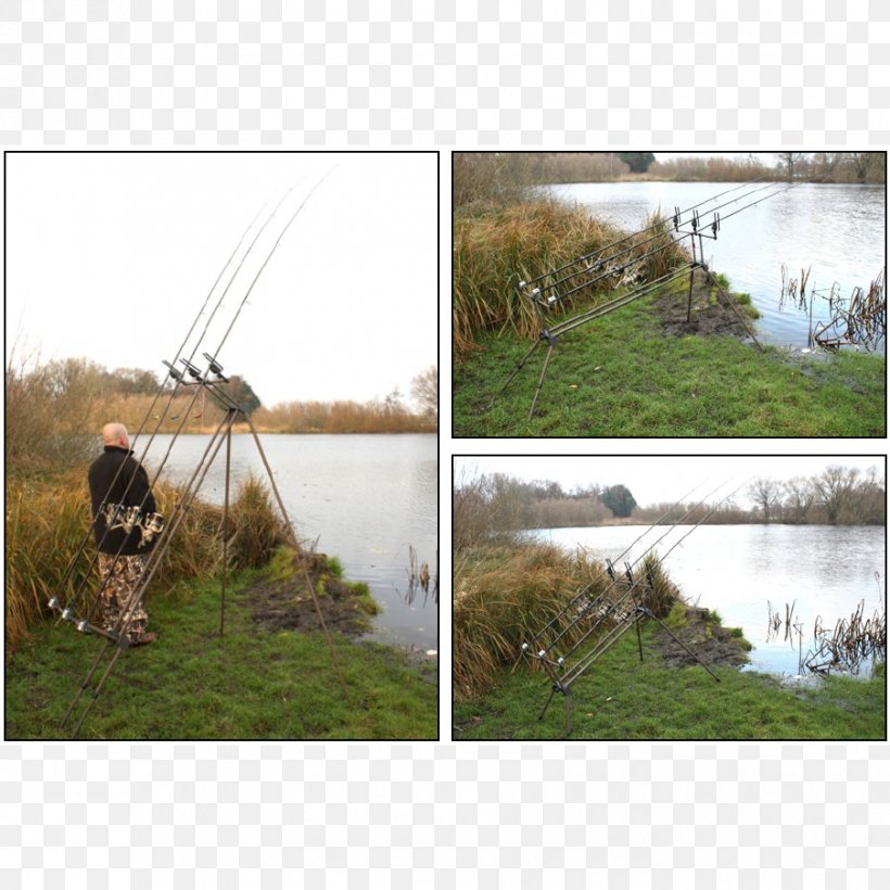 Fishing Rods Rod Pod Angling Recreation, PNG, 903x903px, Fishing Rods, Aluminium, Angling, Fishing, Grass Download Free