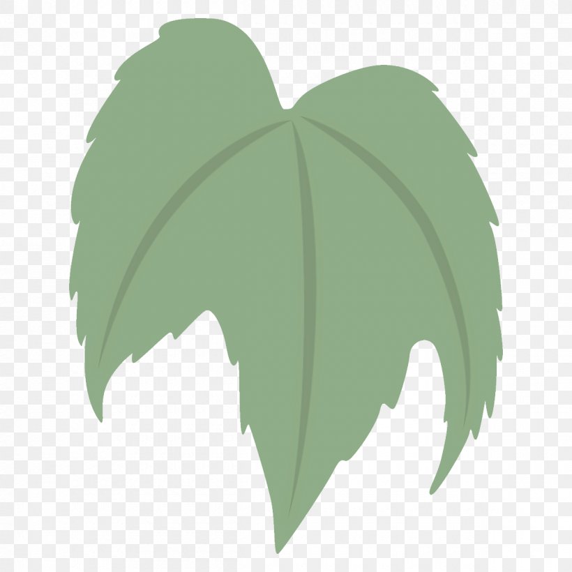 Ivy, PNG, 1200x1200px, Leaf, Flower, Green, Ivy, Logo Download Free