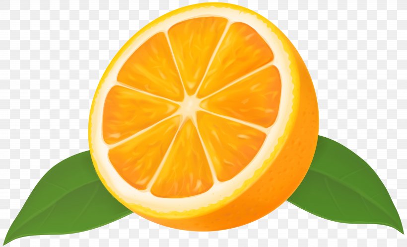 Lemon Mandarin Orange Grapefruit Lime, PNG, 8000x4850px, Lemon, Bitter Orange, Citric Acid, Citrus, Clementine Download Free