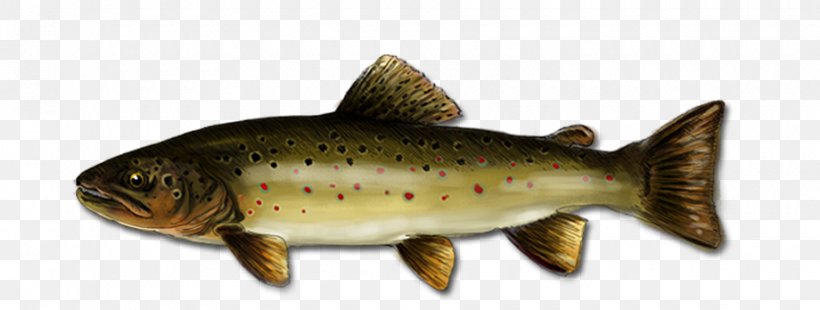 Salmon Cutthroat Trout Fish Products 09777, PNG, 920x348px, Salmon, Animal, Animal Figure, Bony Fish, Cutthroat Trout Download Free