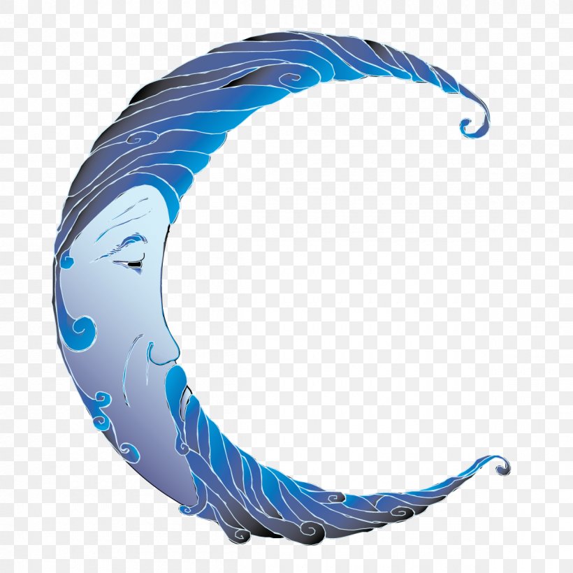 Feather Microsoft Azure, PNG, 1200x1200px, Feather, Marine Mammal, Microsoft Azure Download Free