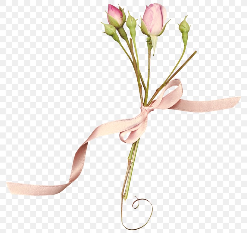 Floral Design Cut Flowers Pink Rose, PNG, 800x774px, Floral Design, Beach Rose, Bud, Color, Cut Flowers Download Free