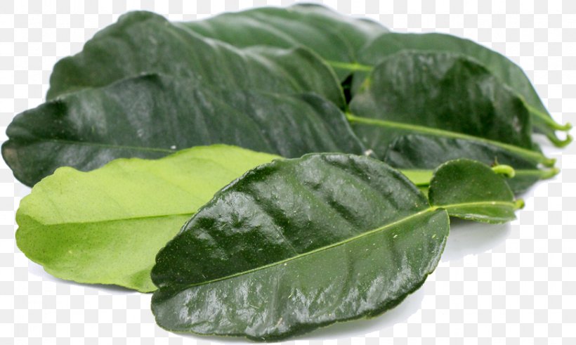 Green Leaf Background, PNG, 872x523px, Thai Cuisine, Cabbage, Collard, Collard Greens, Flower Download Free