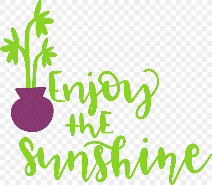 Sunshine Enjoy The Sunshine, PNG, 3000x2629px, Sunshine, Biology, Flower, Geometry, Green Download Free