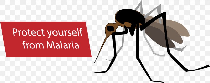 Mosquito Malaria Anopheles Gambiae Eradication Of Infectious Diseases, PNG, 1559x622px, Mosquito, Anopheles Gambiae, Brand, Cartoon, Clinic Download Free