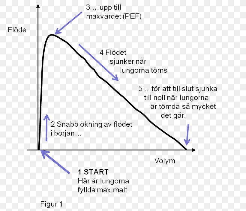 Respimat Spirometry Flux Curve Peak Expiratory Flow, PNG, 800x706px, Respimat, Area, Bronchodilator, Curve, Diagram Download Free