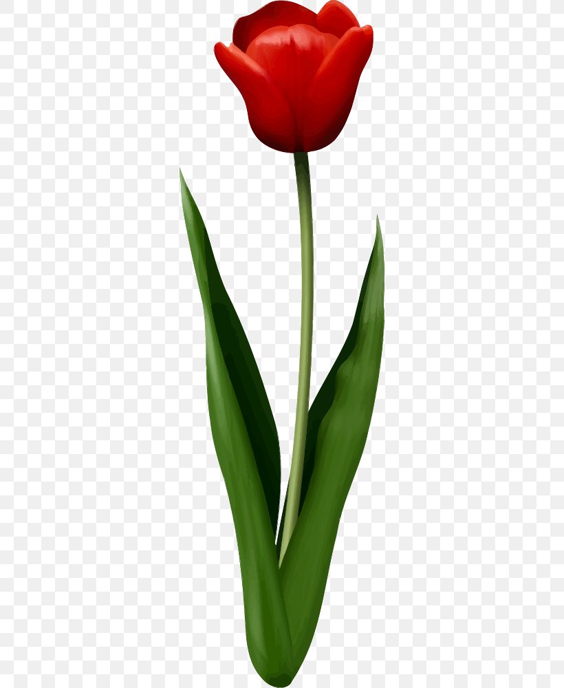 Tulip T-shirt Flower Red, PNG, 298x1000px, Tulip, Clothing Sizes, Color, Cut Flowers, Designer Download Free