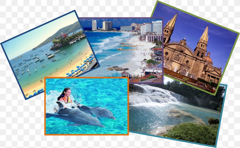Water Resources Leisure Ecosystem, PNG, 1524x938px, Water, Advertising, Collage, Dolphin, Ecosystem Download Free