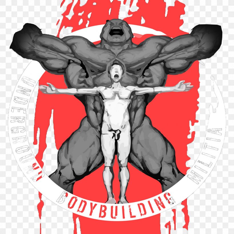 Bodybuilding Latissimus Dorsi Muscle Sports Training Athlete, PNG, 1920x1920px, Watercolor, Cartoon, Flower, Frame, Heart Download Free