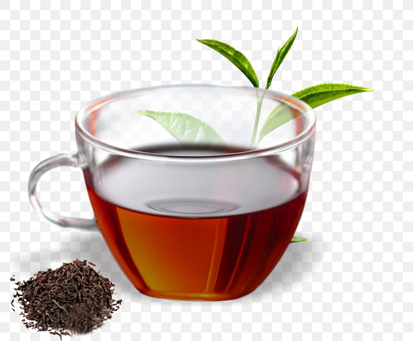 Hōjicha Assam Tea Oolong Green Tea, PNG, 798x677px, Hojicha, Assam Tea, Black Tea, Caffeine, Chinese Herb Tea Download Free