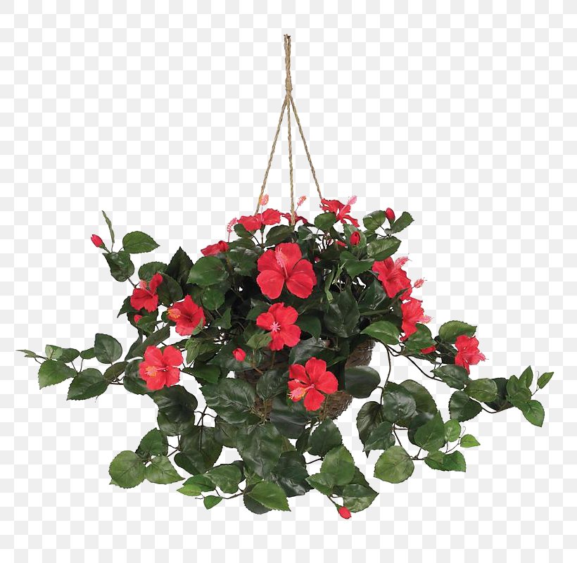 Hanging Basket Plant Artificial Flower, PNG, 800x800px, Hanging Basket, Artificial Flower, Basket, Begonia, Bougainvillea Download Free