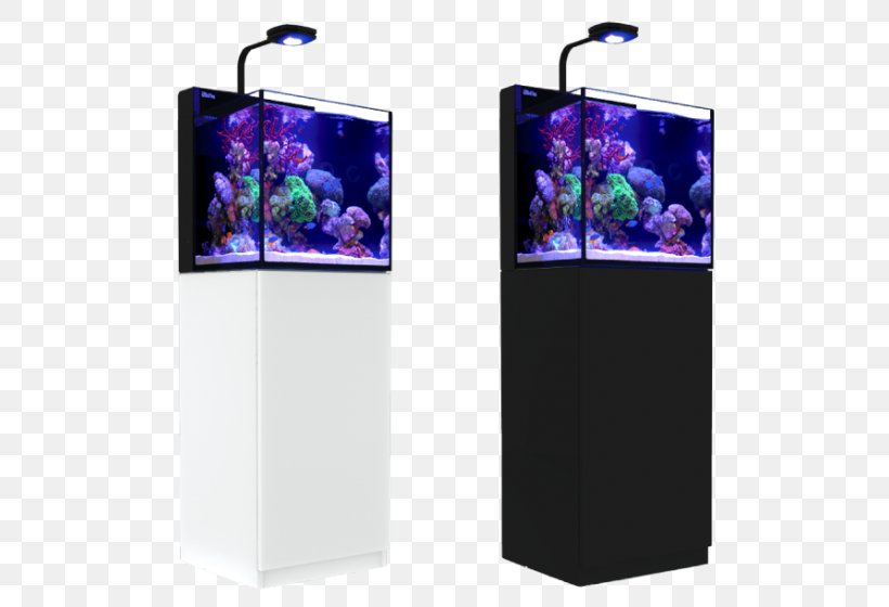 Red Sea Reef Aquarium Technology, PNG, 560x560px, Red Sea, Aquarium, Coral, Coral Reef, Display Advertising Download Free