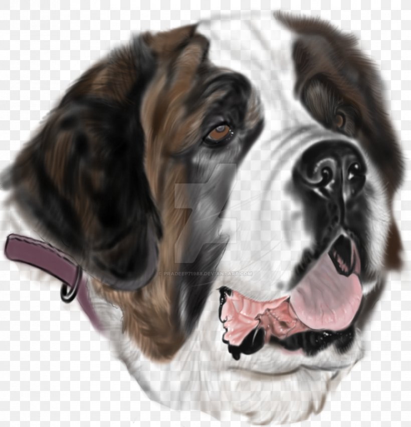 St. Bernard Dog Breed Drawing Tattoo Search And Rescue Dog, PNG, 877x912px, St Bernard, Art, Breed, Dog, Dog Breed Download Free