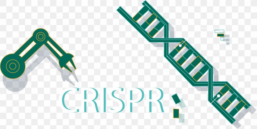 CRISPR Cas9 Genome Editing Do-it-yourself Biology Science, PNG, 2000x1005px, Crispr, Area, Biology, Brand, Cell Download Free