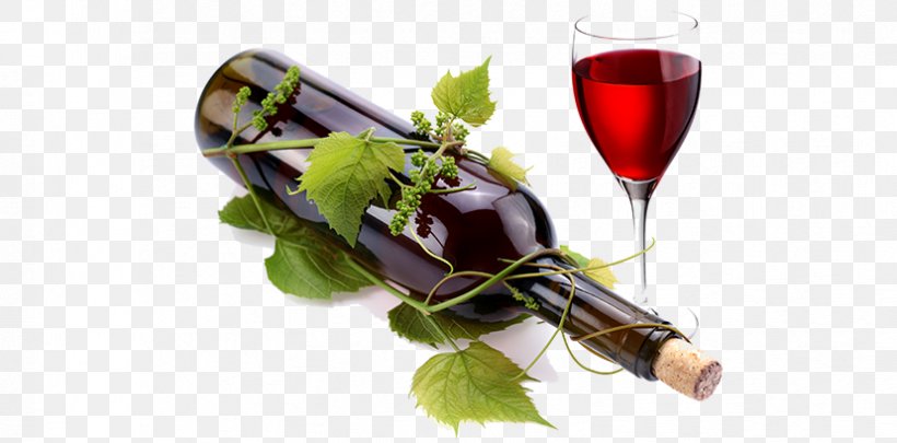 Red Wine Common Grape Vine Bottle Wine Glass, PNG, 828x409px, Wine, Alcoholic Beverage, Alcoholic Drink, Bottle, Champagne Download Free