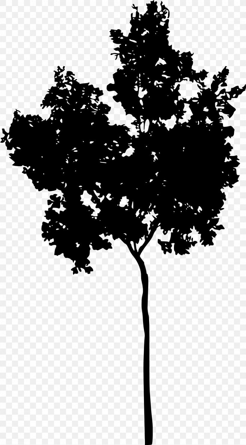 Tree Woody Plant Silhouette Monochrome Photography, PNG, 1107x2000px, Tree, Black, Black And White, Branch, Conifer Download Free