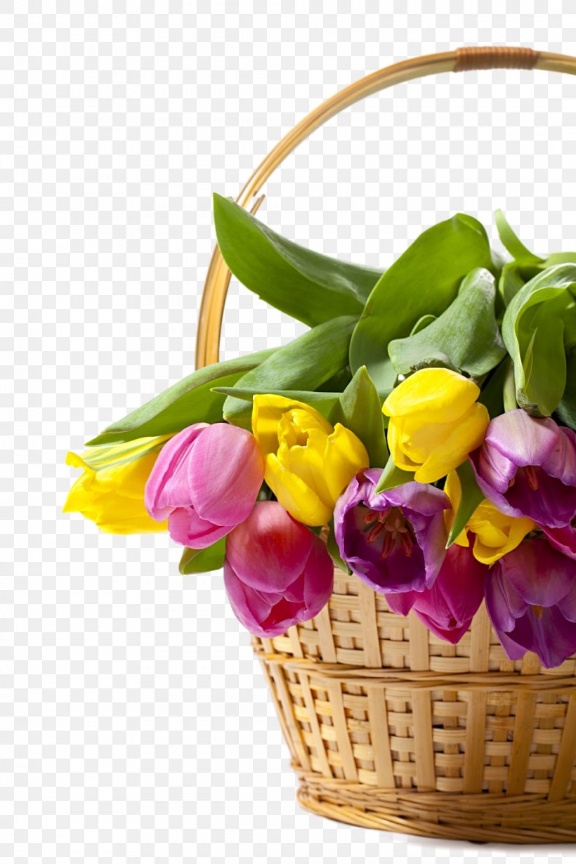 Tulip Floral Design Cut Flowers Flower Bouquet, PNG, 1066x1600px, Tulip, Cut Flowers, Family M Invest Doo, Floral Design, Floristry Download Free