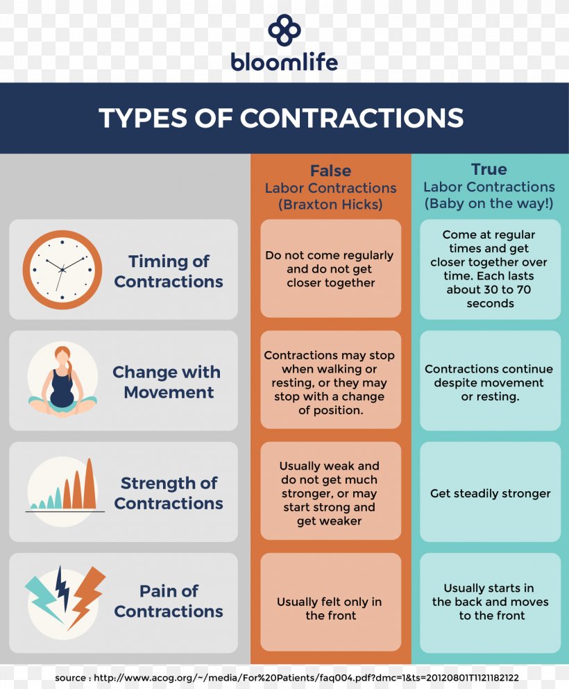 Uterine Contraction Braxton Hicks Contractions Pregnancy Childbirth Premature Obstetric Labor, PNG, 1490x1805px, Uterine Contraction, Area, Babycenter, Brand, Braxton Hicks Contractions Download Free