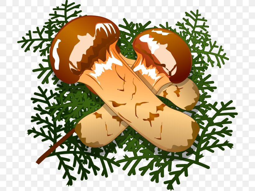 Clip Art Illustration Matsutake, PNG, 710x613px, Matsutake, Food, Grass, Tree Download Free