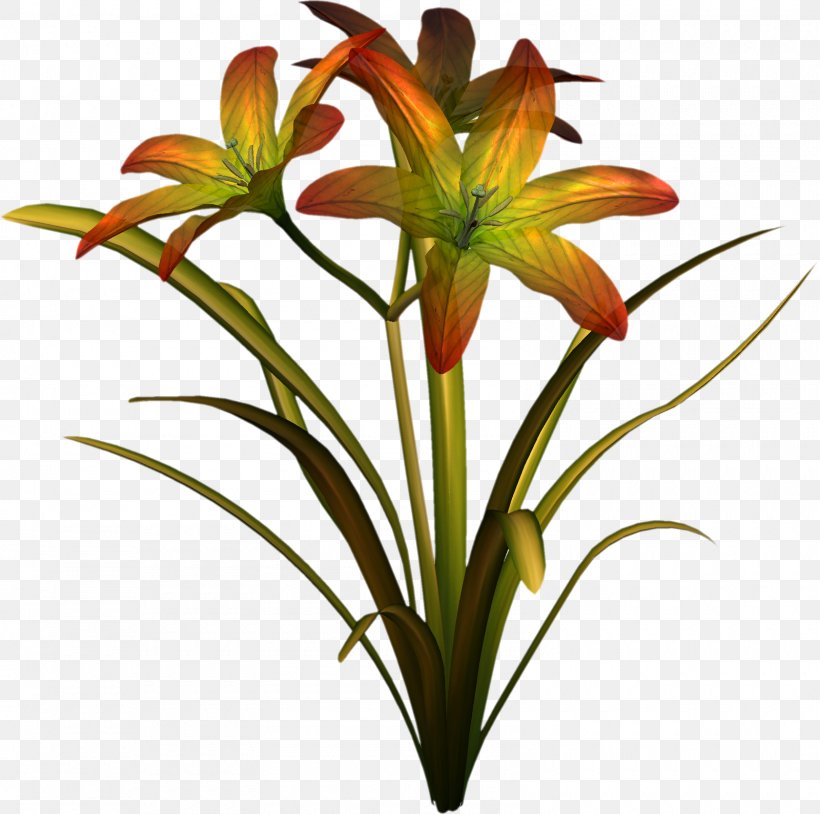 Cut Flowers Lilium Daylily Plant, PNG, 1600x1589px, Flower, Cut Flowers, Daylily, Depositfiles, Flora Download Free