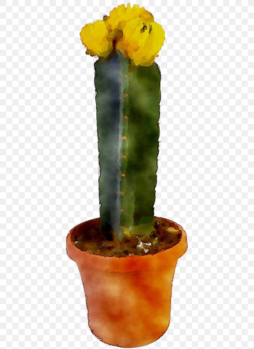 Eastern Prickly Pear Cactus Echinocereus Flower Plant Stem, PNG, 402x1125px, Eastern Prickly Pear, Acanthocereus Tetragonus, Cactus, Caryophyllales, Echinocereus Download Free