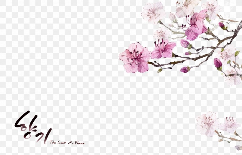 Flower Clip Art, PNG, 2481x1595px, Flower, Art, Artificial Flower, Beauty, Blossom Download Free