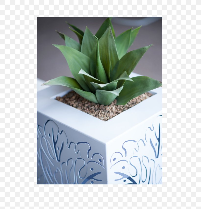 Flowerpot Plant Steel Office Interior Design Services, PNG, 720x850px, Flowerpot, Abstract, Agave, Agave Azul, Aloe Download Free