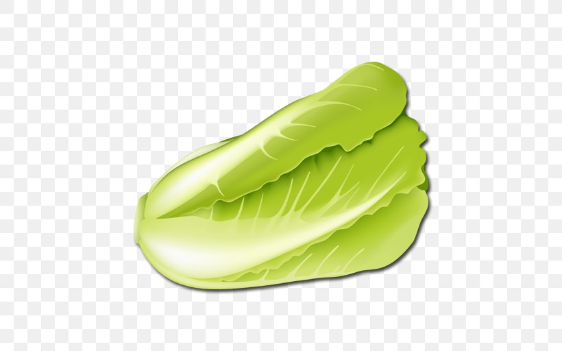 Napa Cabbage Vegetable Lettuce Chinese Cabbage, PNG, 512x512px, Cabbage, Bargli Sabzavotlar, Black Mustard Seed, Bok Choi, Chinese Cabbage Download Free