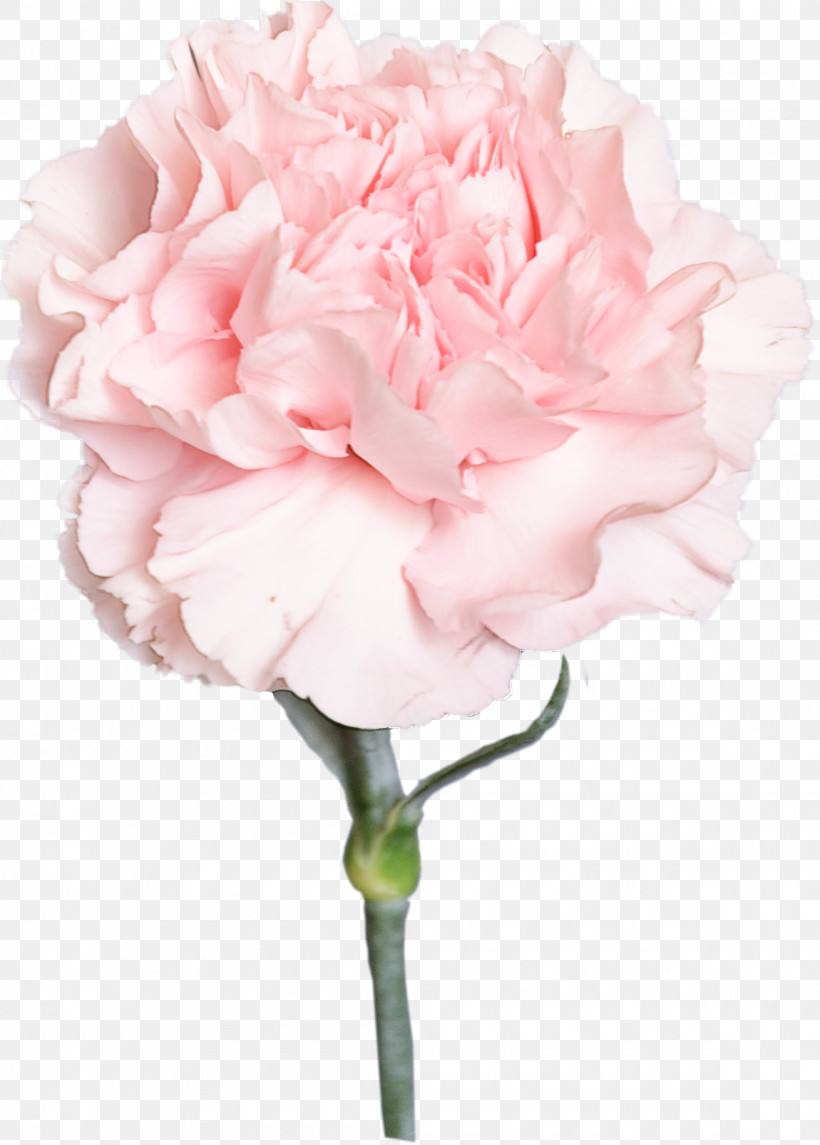 Artificial Flower, PNG, 1150x1606px, Flower, Artificial Flower, Bouquet, Carnation, Chinese Peony Download Free