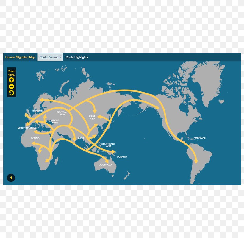 Early Human Migrations Genographic Project Globe Map, PNG, 800x800px, Early Human Migrations, Animal Migration, Animated Mapping, Area, Genographic Project Download Free