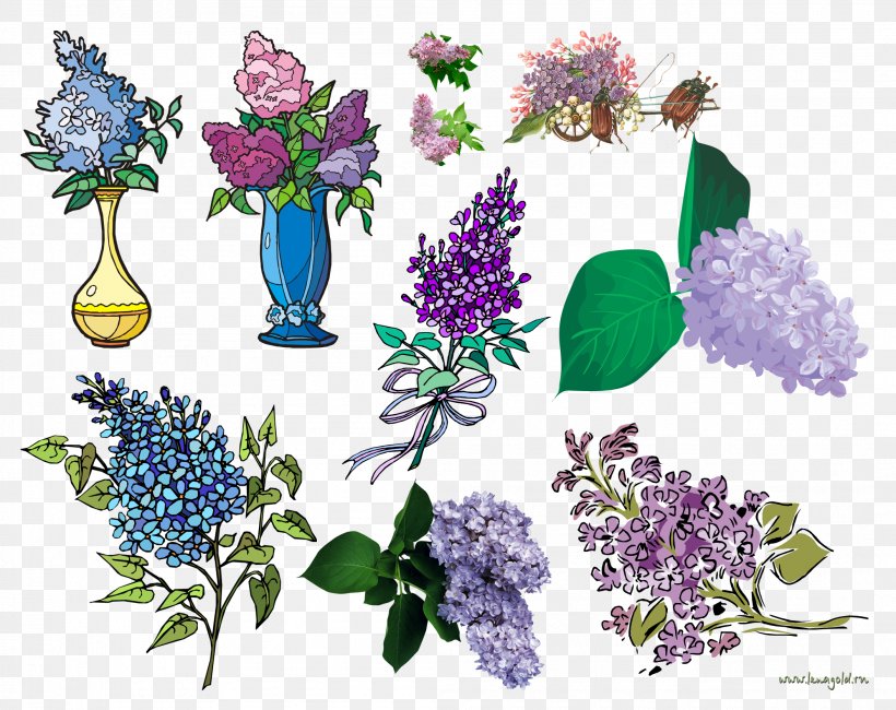 Flower Floral Design Lilac Clip Art, PNG, 2107x1672px, Flower, Child, Cut Flowers, Floral Design, Floristry Download Free