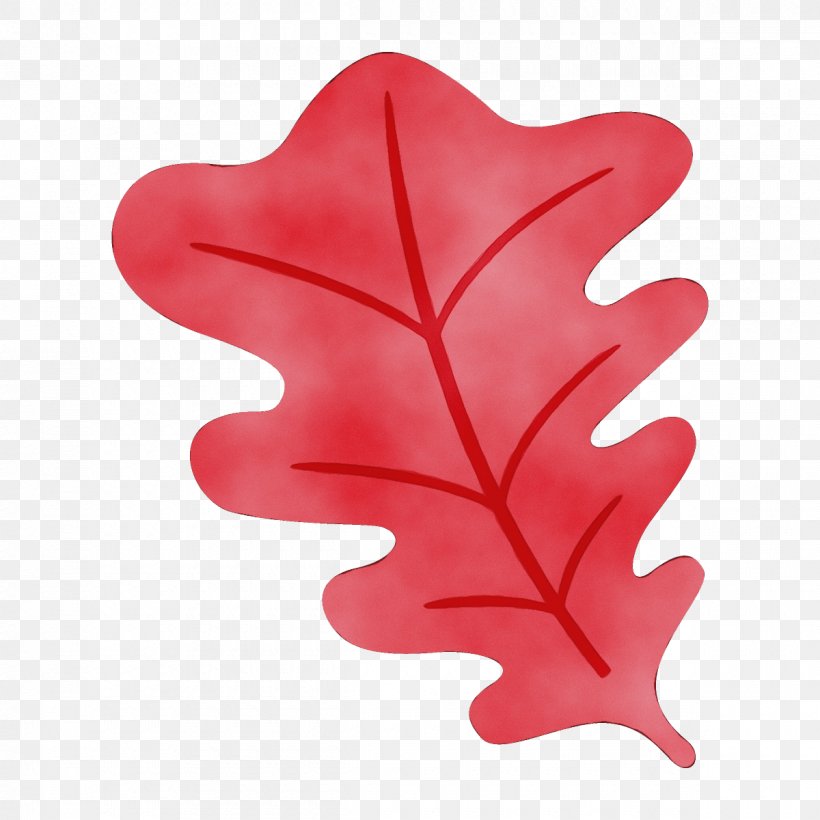 Maple Leaf, PNG, 1200x1200px, Watercolor, Leaf, Maple Leaf, Paint, Plant Download Free