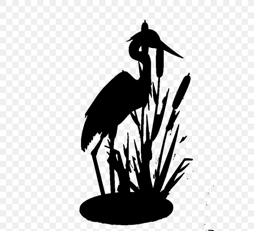 Stork Bird Crane Clip Art Beak, PNG, 560x747px, Stork, Beak, Bird ...