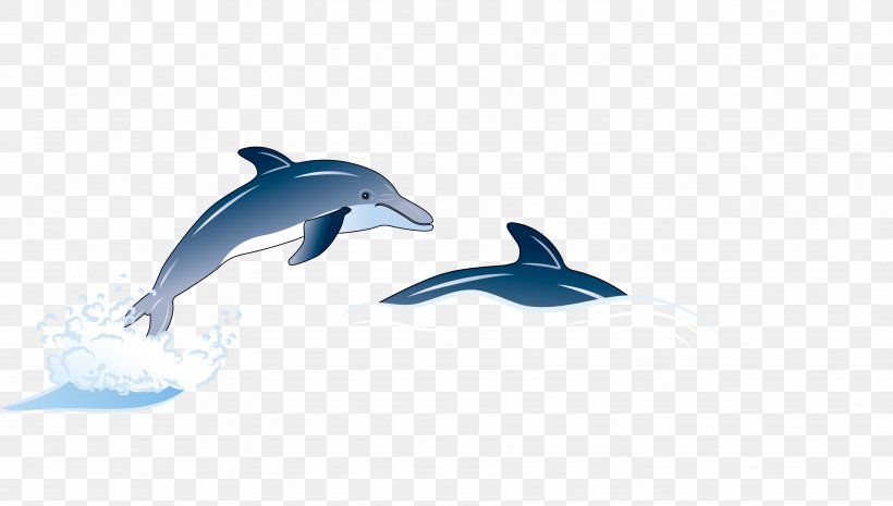 Common Bottlenose Dolphin Illustration, PNG, 3622x2055px, Common Bottlenose Dolphin, Blue, Cartoon, Dolphin, Drawing Download Free