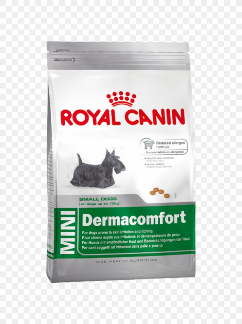 Dog Food Cat Food Puppy Royal Canin, PNG, 1000x1340px, Dog, Brand, Breed, Cat, Cat Food Download Free