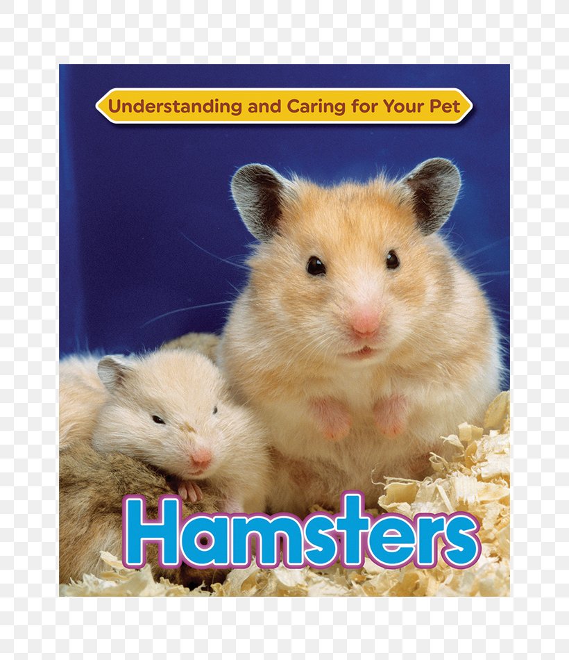Golden Hamster Djungarian Hamster European Hamster Your Hamster, PNG, 650x950px, Hamster, Cage, Djungarian Hamster, European Hamster, Fauna Download Free