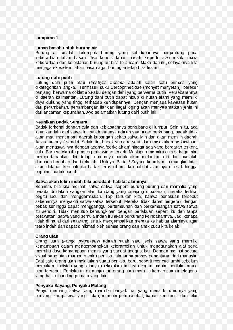 Marketing Plan Document Line, PNG, 1653x2339px, Marketing Plan, Area, Document, Marketing, Paper Download Free