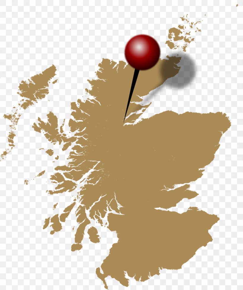 Scotland Map Clip Art, PNG, 840x1000px, Scotland, Blank Map, Branch, Flower, Geography Download Free