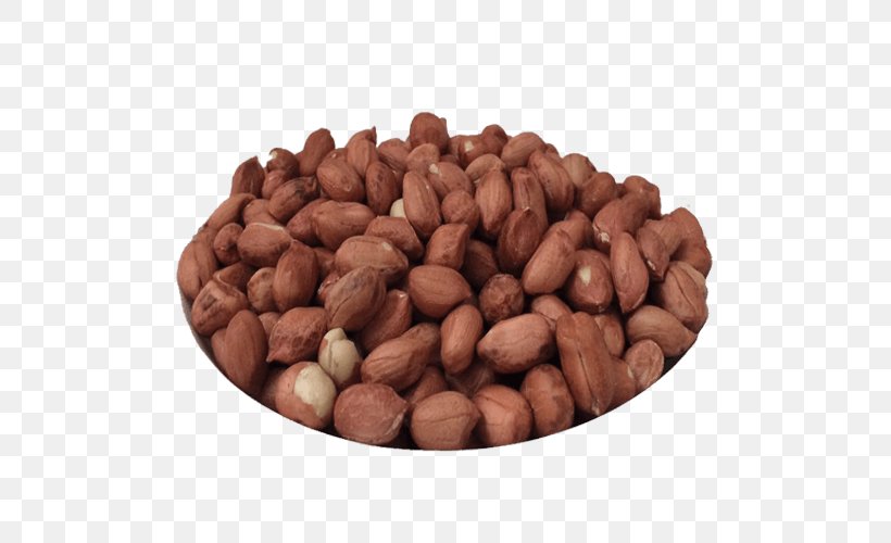 Hazelnut Tree Nut Allergy Peanut VY2, PNG, 500x500px, Hazelnut, Commodity, Food, Ingredient, Nut Download Free