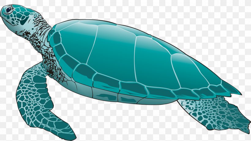 Sea Turtle Reptile Image Tortoise, PNG, 1280x722px, Turtle, Animal, Aqua, Box Turtles, Drawing Download Free