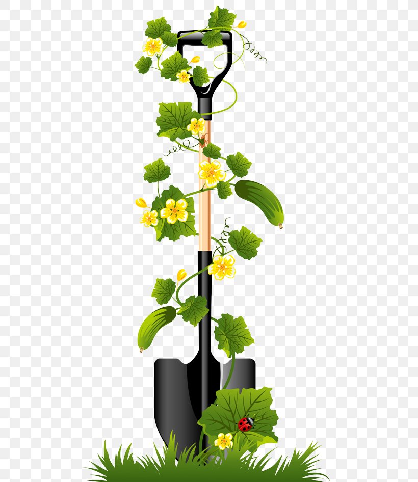 Clip Art Shovel Vector Graphics Flower Garden, PNG, 500x946px, Shovel, Branch, Flora, Floral Design, Flower Download Free