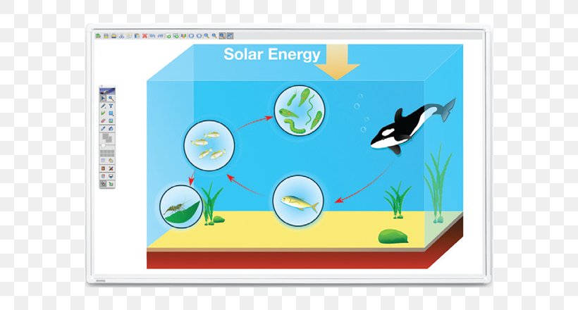 Food Chain Food Web Photosynthesis Ocean Biology, PNG, 602x440px, Food Chain, Animal, Area, Biology, Biome Download Free
