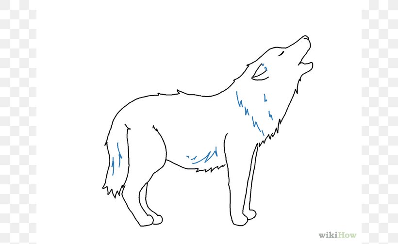 Gray Wolf Drawing Line Art Sketch, PNG, 670x503px, Watercolor, Cartoon, Flower, Frame, Heart Download Free