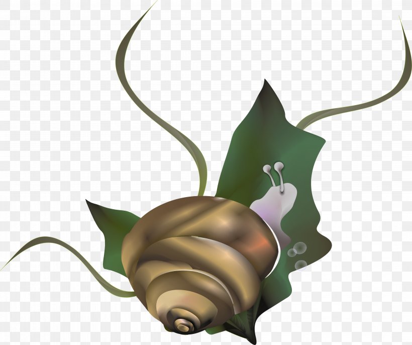 Snail Caracol Euclidean Vector, PNG, 4326x3620px, Snail, Caracol, Caracola, Designer, Insect Download Free