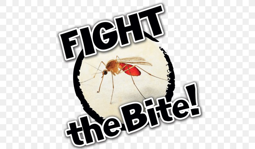 Animal Bite Mosquito Insect Bites And Stings Vector Control West Nile Fever, PNG, 561x480px, Animal Bite, Aedes, Arthropod, Biting, Brand Download Free